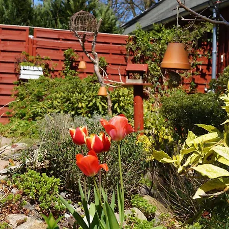 Bungalow Leonie
