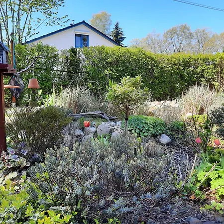 Bungalow Leonie Semesterbostad *